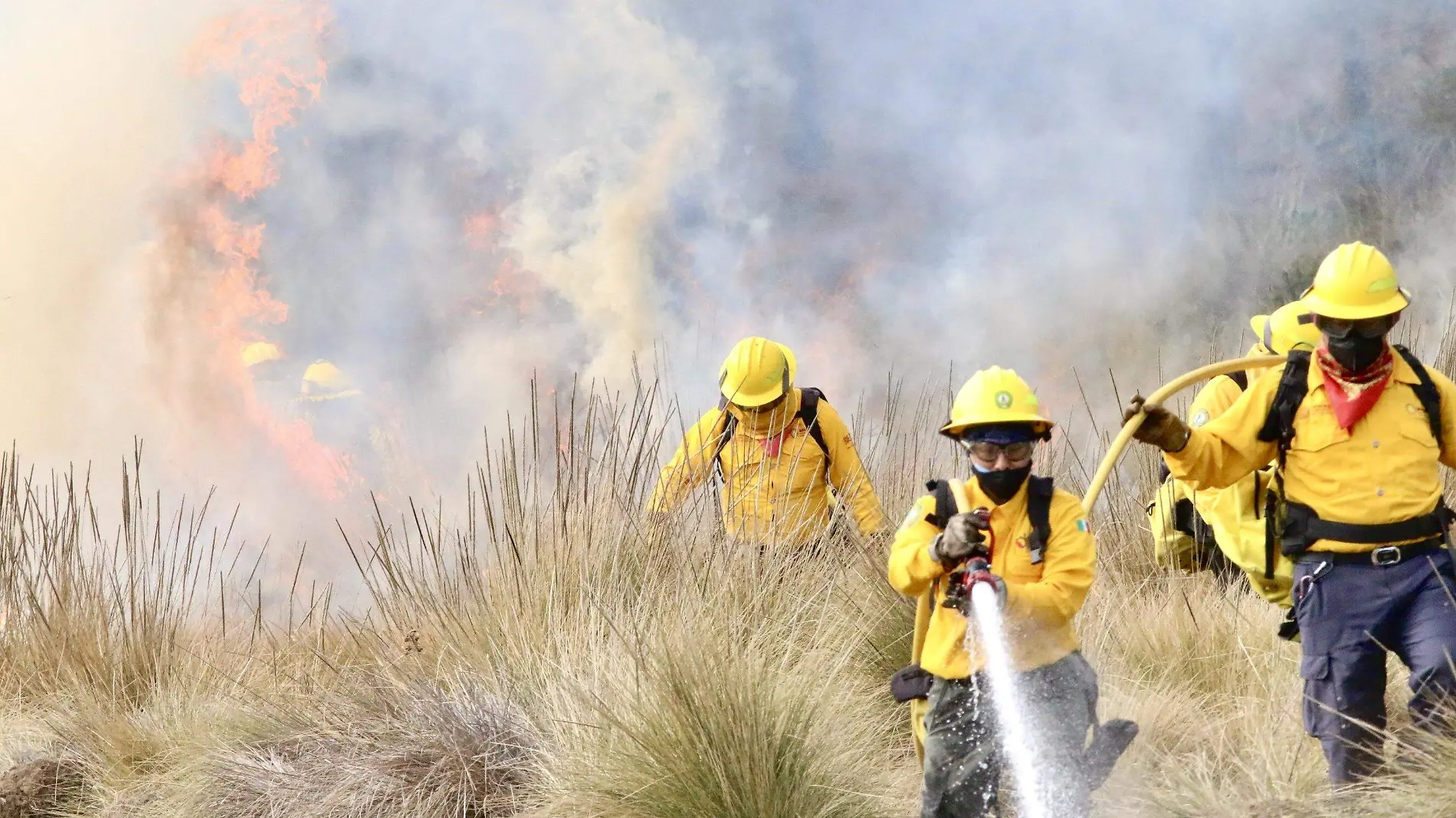 RENE-INCENDIOS FORESTALES-1